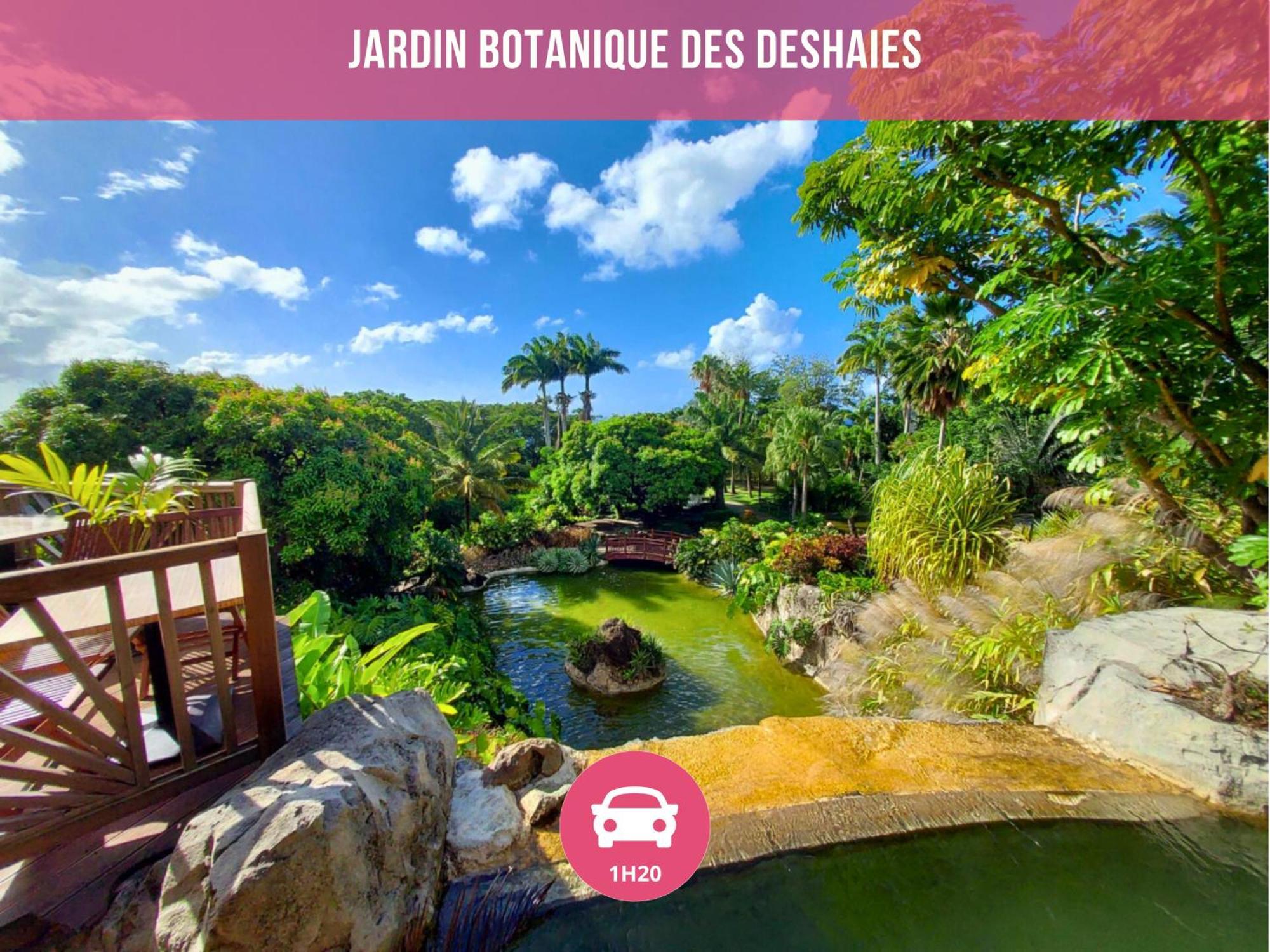 Le Sable Bleu - Evasion Tropicale A Sainte-Anne - Plage 5Min - Piscine - Parking - Logement Climatise - Vue Sur Les Palmiers - Parfait Pour Sejours En Famille Ou Entre Amis Exteriör bild