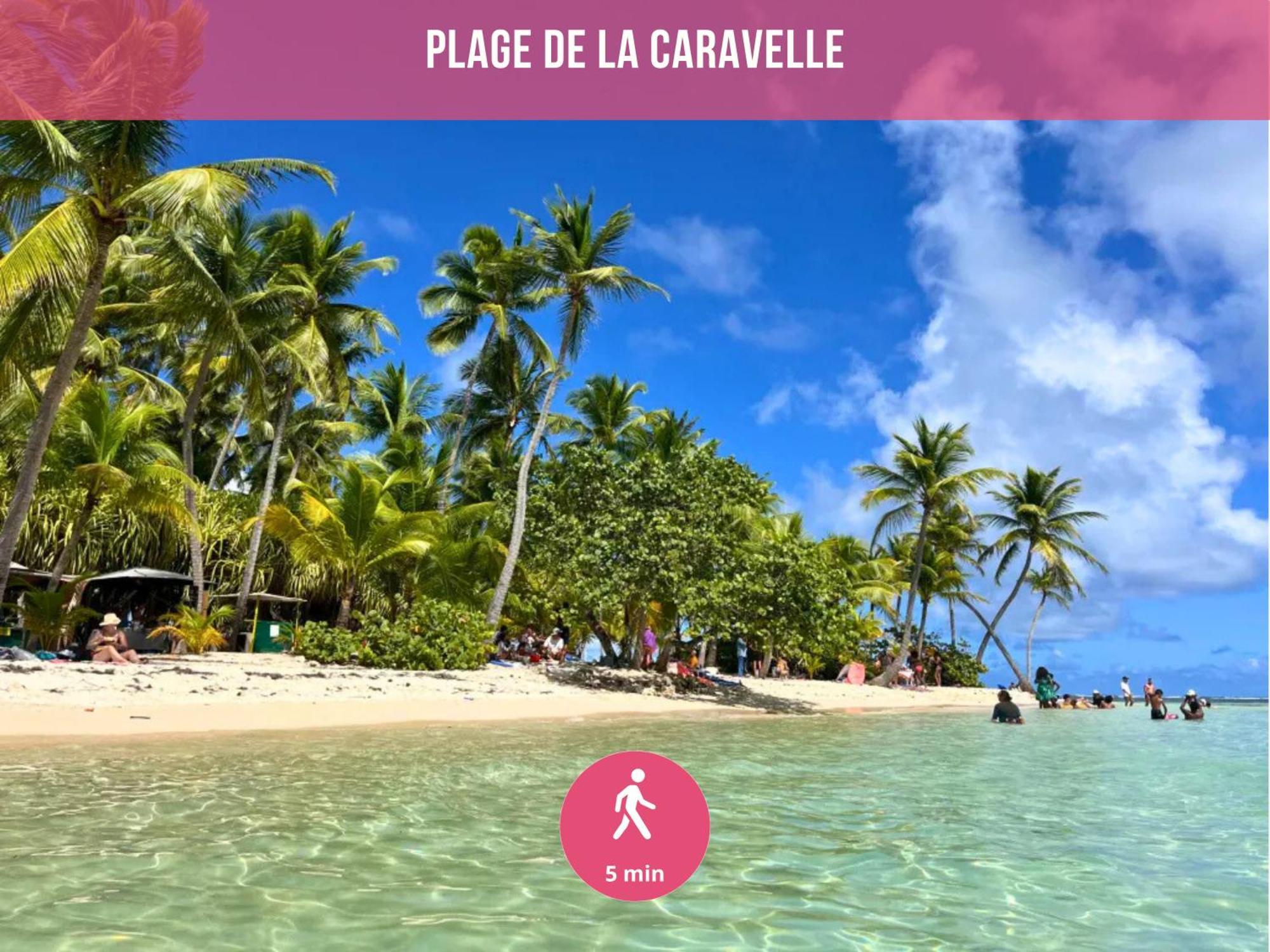 Le Sable Bleu - Evasion Tropicale A Sainte-Anne - Plage 5Min - Piscine - Parking - Logement Climatise - Vue Sur Les Palmiers - Parfait Pour Sejours En Famille Ou Entre Amis Exteriör bild